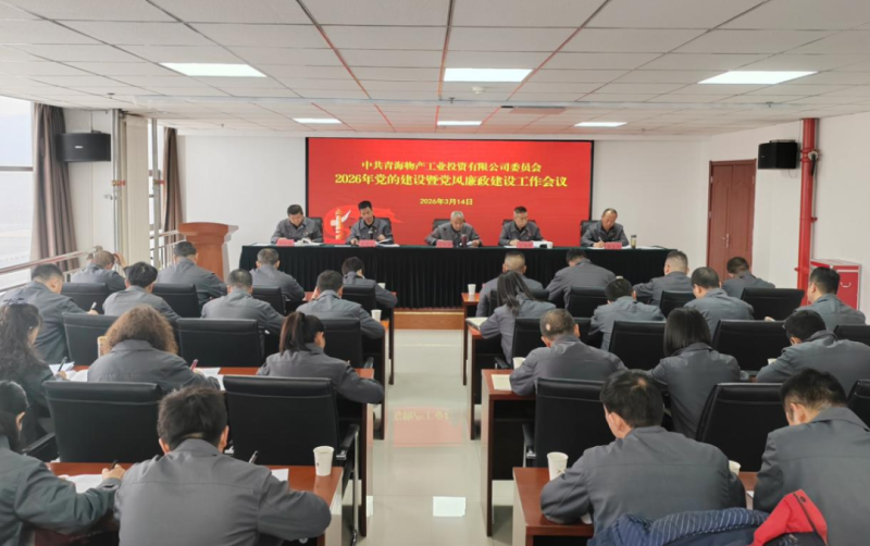 工投公司黨委召開2026年黨的建設(shè)暨黨風廉政建設(shè)工作會議