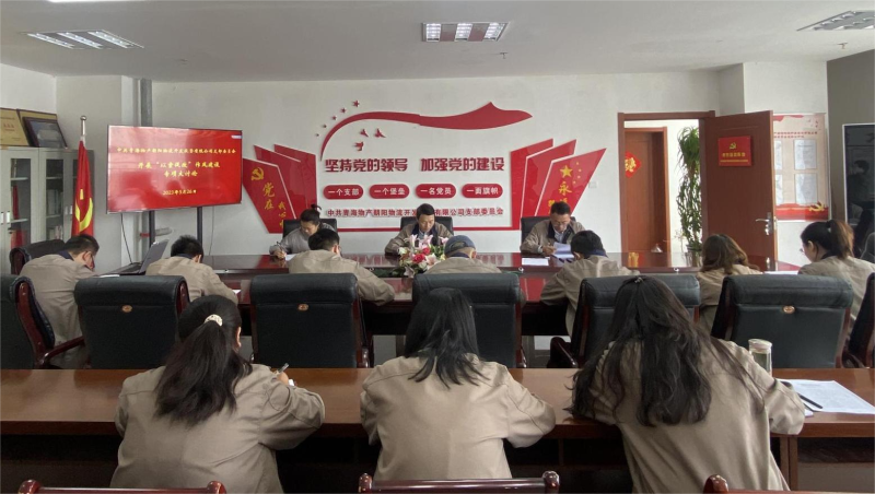 以案促改轉(zhuǎn)作風(fēng) 堅守底線樹新風(fēng)   &mdash;&mdash;青海物產(chǎn)朝陽物流開發(fā)投資有限公司支部委員會開展&ldquo;以案促改&rdquo;作風(fēng)建設(shè)專項(xiàng)大討論