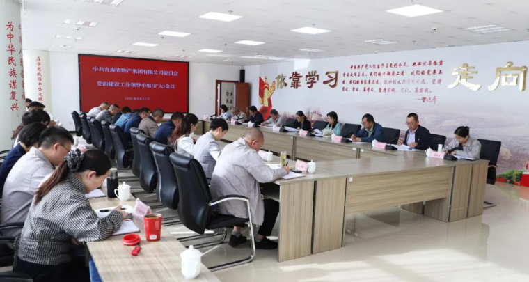 省物產(chǎn)集團黨委召開黨的建設工作領導小組（擴大）會議