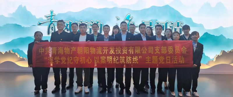 朝物開(kāi)投公司黨支部召開(kāi)&ldquo;深學(xué)黨紀(jì)守初心 以案明紀(jì)筑防線&rdquo;主題黨日活動(dòng)