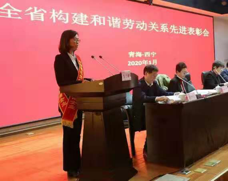 青海省物產(chǎn)集團(tuán)有限公司榮獲全省模范勞動關(guān)系和諧企業(yè)榮譽稱號