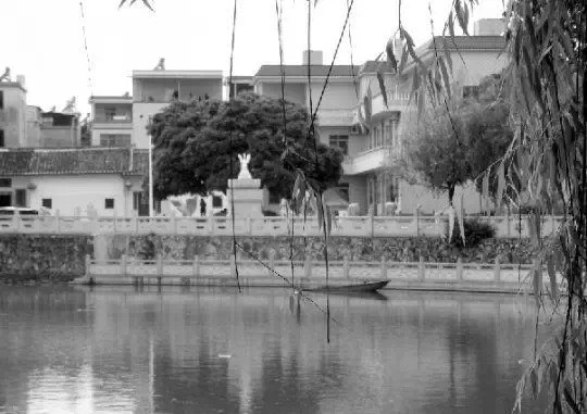 老鄉(xiāng)眼里的李河君：陌生富豪，夫人助其發(fā)財(cái)